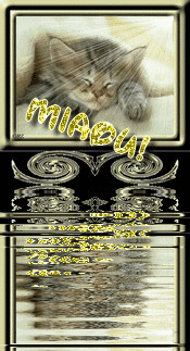 c joli ....................................nn?