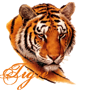 le tigre
