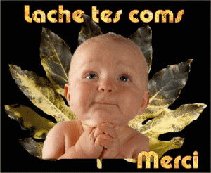 lache tes comms