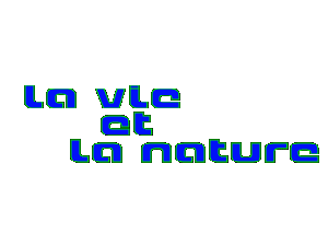 la vie et la nature