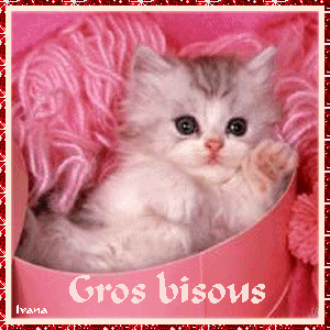 mignon